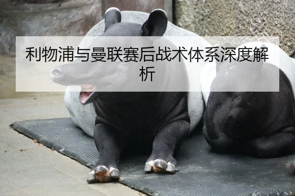 利物浦与曼联赛后战术体系深度解析