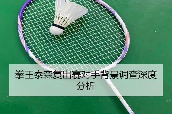 quan-wang-tai-sen-fu-chu-sai-dui-shou-bei-jing-diao-cha-shen-du-fen-xi-2-174.jpg